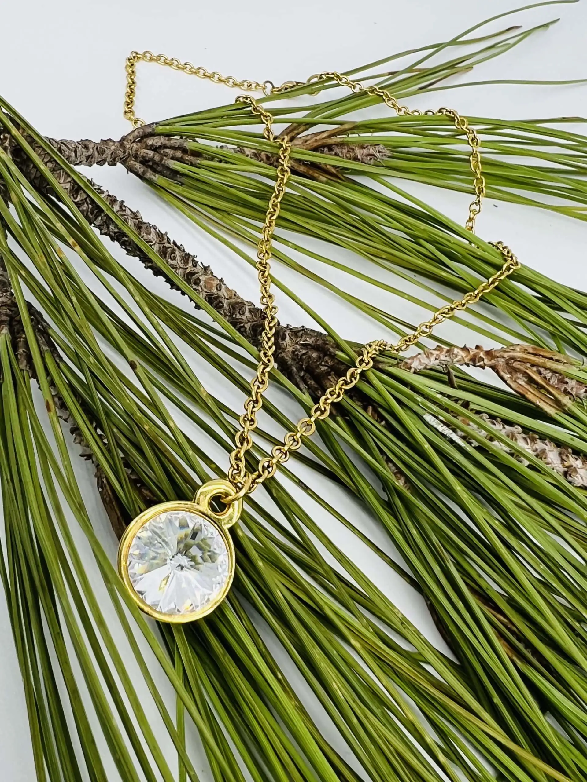 Shinny beauty - Image 4