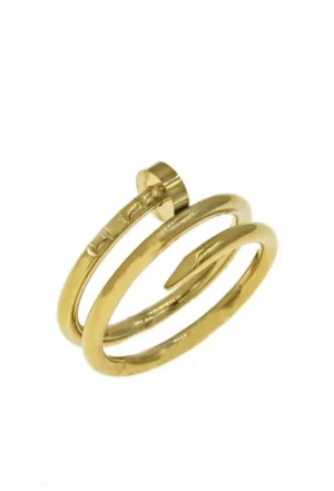 Δαχτυλίδι καρφί