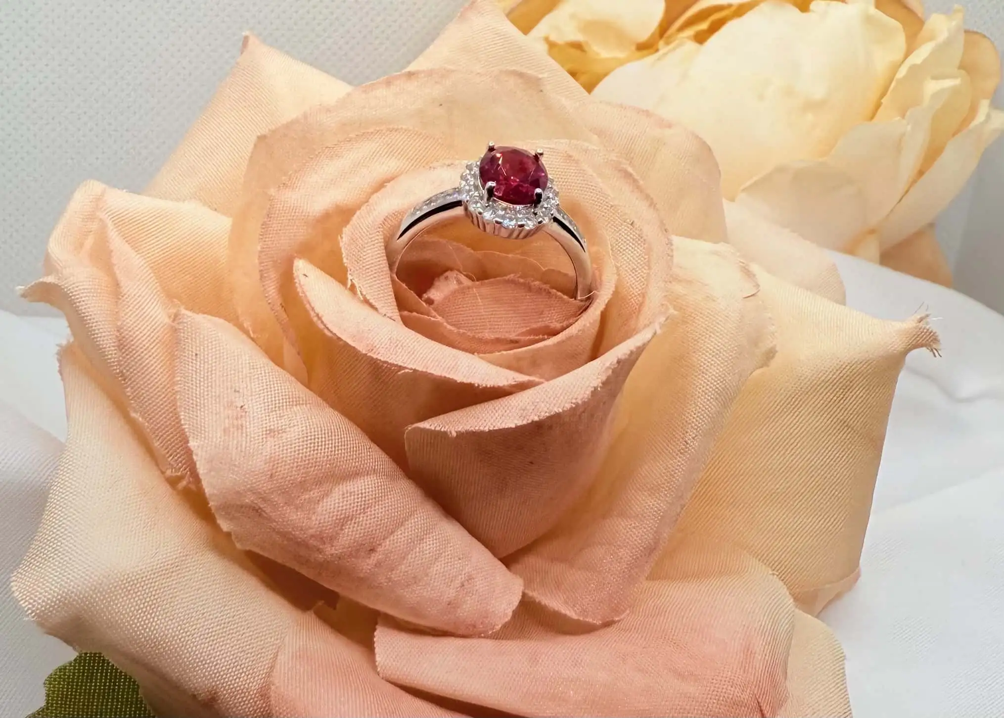 Little Princess - Image 2