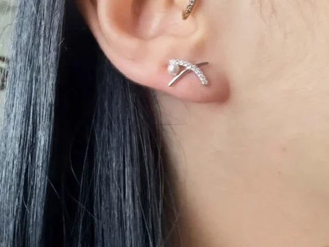 Silver earrings